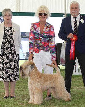 Miss S Withington Fantasa Blonde Rufus with puppy group judge Mr M P Phillips & Mrs V Day (Hon. Cup Steward)
