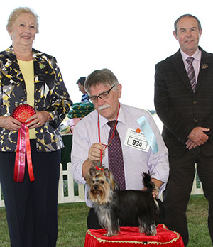 Mrs P D Evans Rigair Indigo Gold TAF with puppy group judge Mrs M Bunce & Mr L Hunt (Committee)
