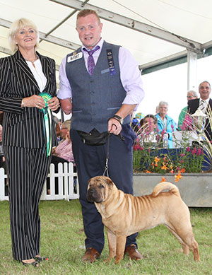 Mr & Mrs A S & H K MORRIS Ch Ashowai Taste Of Diamonds JW Sh CM with group judge Mrs E P Hollings