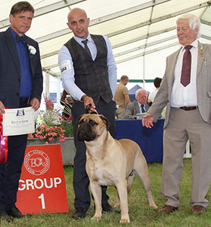 Mr P J Myres & Miss D Morgan Ch Old Manila's Whisky Mac For Optimus JW with group judge Mr E Engh & Mr J Appleby (Chairman)