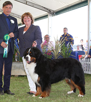 Mrs C Hartlry-Mair & Mr G Dybdall Ch Meadowpark High Class with group judge Mr E Engh