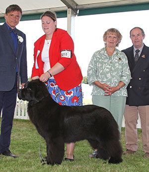 Mr & Mrs G & T Coldwell & Misses E & F Coldwell Misses E & F Zentaur Ain't No Thang with puppy group judge Mr E Engh & Mr L Hunt (Committee)