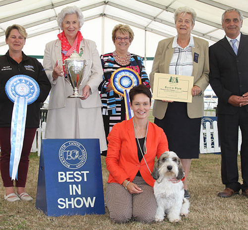 Mrs S Robertson & Mrs W Doherty Ch Soletrader Magic Mike with BIS judge Mrs C E Cartledge with Mrs J Iles-Hebbert (President) & Mrs S Duffin     