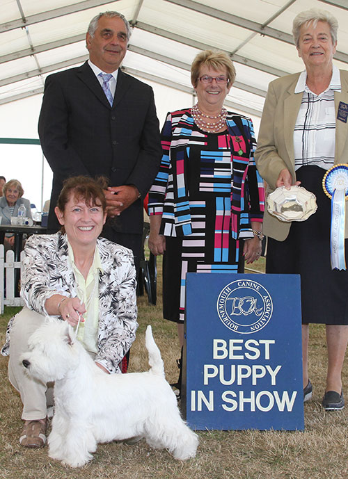 Miss M Burns & Mrs A Burns Mrs A Burneze Wild At Heart with BPIS judge Mrs C E Cartledge, Mrs S Duffin (Secretary) & Mr J Courtney (Show Manager)