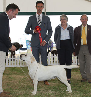 Mr E Casey & Mrs E Jayes Sandylands Hit The Road with puppy group judge Mr R Bott. Mrs V Day (Hon.Cup Steward) & Mr L Hunt (Committee) 