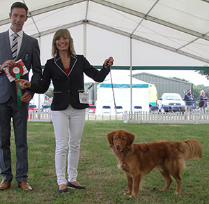 Mr P M Phillips & Miss V M Rimmer Tivalake You're The Top with spbeg judge Mr R Bott
