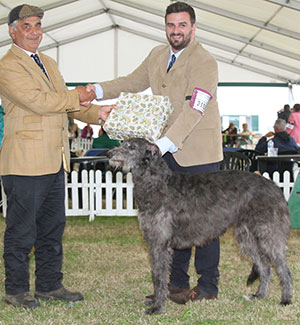 Ms A Morton, Mr J Morgan & Mrs K Constantine Cotherstone Islay Mist At Kaleginy with Mr J Courtney (Show Manager)