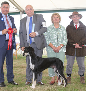 Mr & Mrs A Ham Aus Ch Crisnick Houdini (Imp) TAF NAF with puppy group judge Mr J Horswell, Mr L Hunt (Committee) & Mrs A Jeffrey (Committee) 