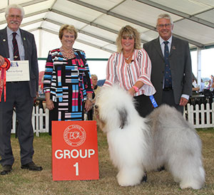 Mrs K Reeves Shaggy Blue Bob's Xerxes at Brinkley (Imp) with group judge Mr M Vine, Mrs S Duffin (Secretary) & Mr D Creech (Treasurer) 