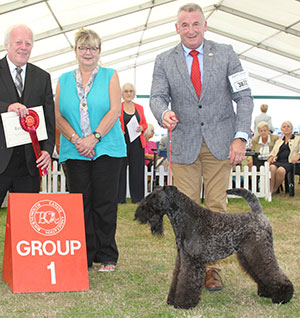 Mr R Tasselli Balboa Nembo Kid with group judge Mr J Luscott & Mrs J Rotchell (Chief Steward)