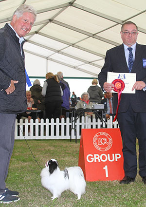Mr A Allcock MBE Littletigers Damage Case At Sleepyhollow (Imp) It with group judge Mr C Sparrow 