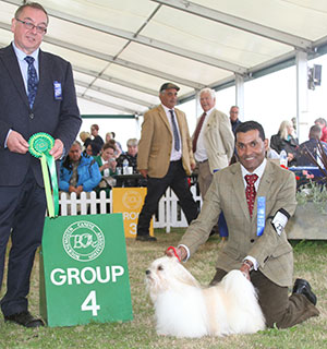 Mr J A Ashwood Ch Silviesol Priscilla with group judge Mr C Sparrow