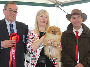Mrs A Cawthera-Purdy Lireva's Dancing With Stars with puppy group judge & Mr L Hunt (Committee)
