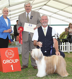 Mr N S Smith & Ms J Hadlington Ch Tetsimi Moves Like Jagger with group judge Mr B Day & Mrs A Dixon (Committee)