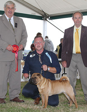 Mr A D & Mrs H K Morris Ashowai Ready To Boogie with puppy group judge Mr B Day & Mr L Hunt (Committee)