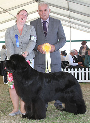 Mr & Mrs H & W Wagner Vivaldibears Diplomat with group judge Mr R C Kinsey