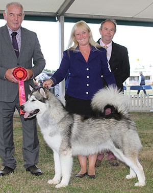 Ms S Ellis Chayo Cause Celebre with puppy group judge Mr R Kinsey & Mr L Hunt (Committee) 