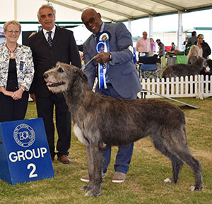 Mr C & Mrs J Amoo Ch Sade Prudence with group judge Miss D Spavin & Mr J Courtney (Show Manager)