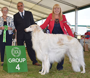 Mrs S Pinkerton & Ms L Cattoni-Sarman Ch Korsakov Radost Power Of Love Menigma (Imp) with group judge Miss D Spavin & Mr J Courtney (Show Manager)