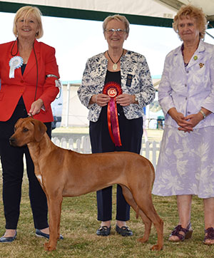 Mrs M L Farleigh Kinabula's Gucci Bloom with puppy group judge Miss D Spavin & Mrs A Jeffery (Group Steward)