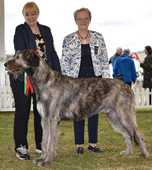 Mrs F & Mr G S Dawsion Hydebeck Dream Tyme Of Graefyn with spbeg judge Miss D Spavin