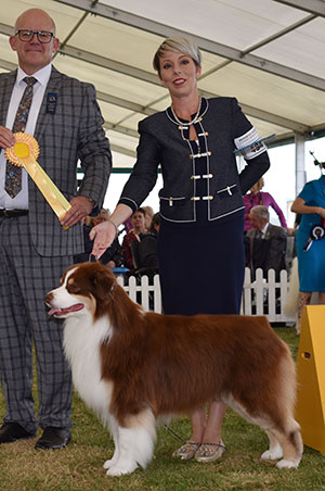 Mrs K Kirtley & Mrs D Erdesz AKC ASCA Ch Wyndstar Magic Marker with group judge Mr M James