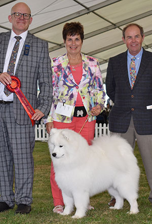 Mrs V Freer Nikara Follow That Dream with puppy group judge Mr M James & Mr L Hunt (Committee) 