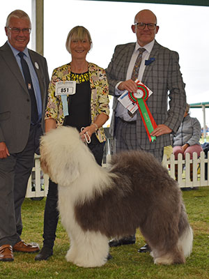 Mrs D Adrian-Coleman Bovaron Going for Gold at Barcole with spbeg group judge Mr M James & Mr D Creech (Treasurer)