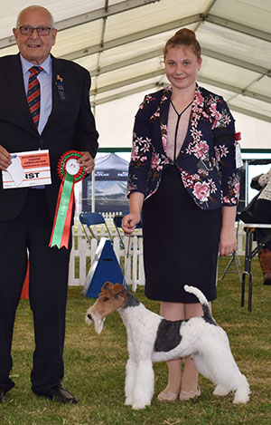 Miss K J Hampton & Miss P Wynter Robelroy Many Dreams At Furlongfox with spbeg judge Mr M S King