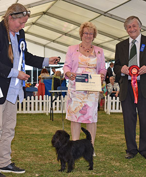 Miss S J Owen & Mr M L Ossowski Ch Darkle Hawker Harrier with group judge Dr G Curr & Mrs S Duffin (Secretary)