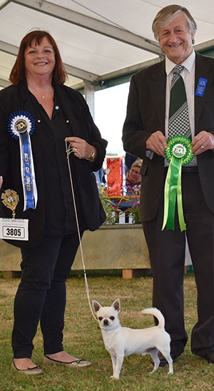 Mrs D Fothergill Diamonchi Mister Moon JW Sh.CM with group judge Mr G Curr