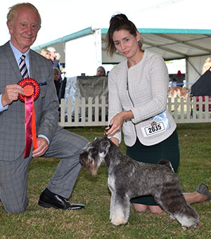 Mrs E J Longdin Wellingley Won Night Stand with puppy group judge Mr T Johnston 