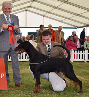 Miss F Dunn & Mrs A Bradley & Misses J Ingram Ch Jojavik Super Chief JW Sh.CM with group judge Mr T H Richards