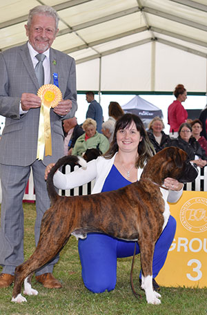 Mr G & Mrs L Brough & Mrs J Cairns Galicar Investigating With Limubox JW with group judge Mr T H Richards