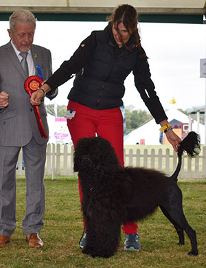 Mr M & Mrs A Hobbs Cartmels This Is My Legacy with puppy group judge Mr T H Richards 
