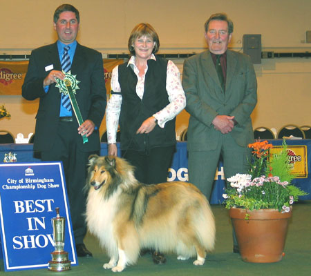 Best in Show