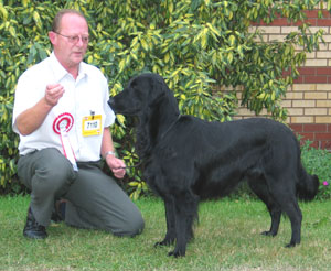 Gundog Group 3rd