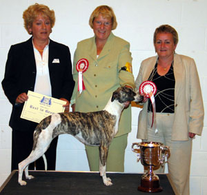 Hound Group 1st