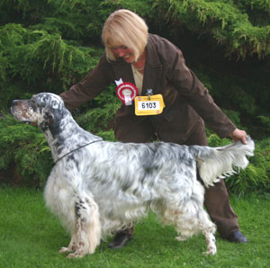 Gundog Group 2nd