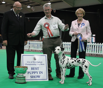 Dr W J E & Mrs J M Gardner Dvojica Black Again At Wrendragge with Mrs E A Macdonald (BPIS judge) & Mr S Milner (committee)