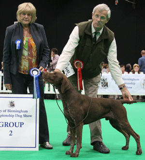 Mrs G Roden & Mr & Mrs J R Mann Sh Ch Valger Nearco From Keigame (ai) with group judge Mrs H Parkinson