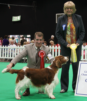 Mr J S Thirlwell Sh Ch Ferndel Aeron Magregor with group judge Mrs H Parkinson