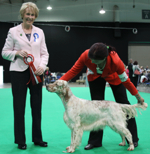 Mrs J M Dennis Mariglen Xanthe with judge Mrs E A Macdonald