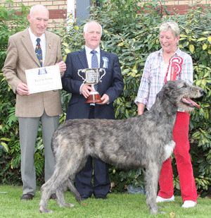 Mrs J E Pain Ravensbeech Fidelia with group judge Mr P Freer & Mr D Wallhead (committee)