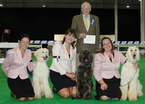 Millward - Afghan Hound with judge Mr J Watson