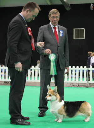 Mr A G S & Mrs S J Matthews Ir Ch Ch Craigycor Viva La Diva with group judge Mr J Carter