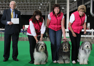 Naylor - Powlish Lowland Sheepdog with judge Mr J Watson