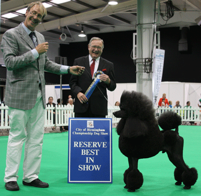 Mr J Lynn & Mr & Mrs J Stone Ch Afterglow Maverick Sabre with Mr W R Irving (BIS judge)