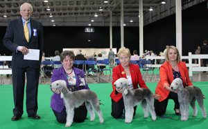 Bannister - Bedlington Terrier with judge Mr J Watson