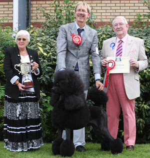 Mr J Lynn & Mr & Mrs J Stone Ch Afterglow Maverick Sabre with group judge Mr D Smith & Mrs J Allman (committee)